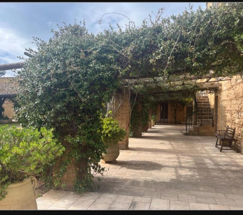Masseria Sotto Le Stelle Provenzani カサラベート エクステリア 写真